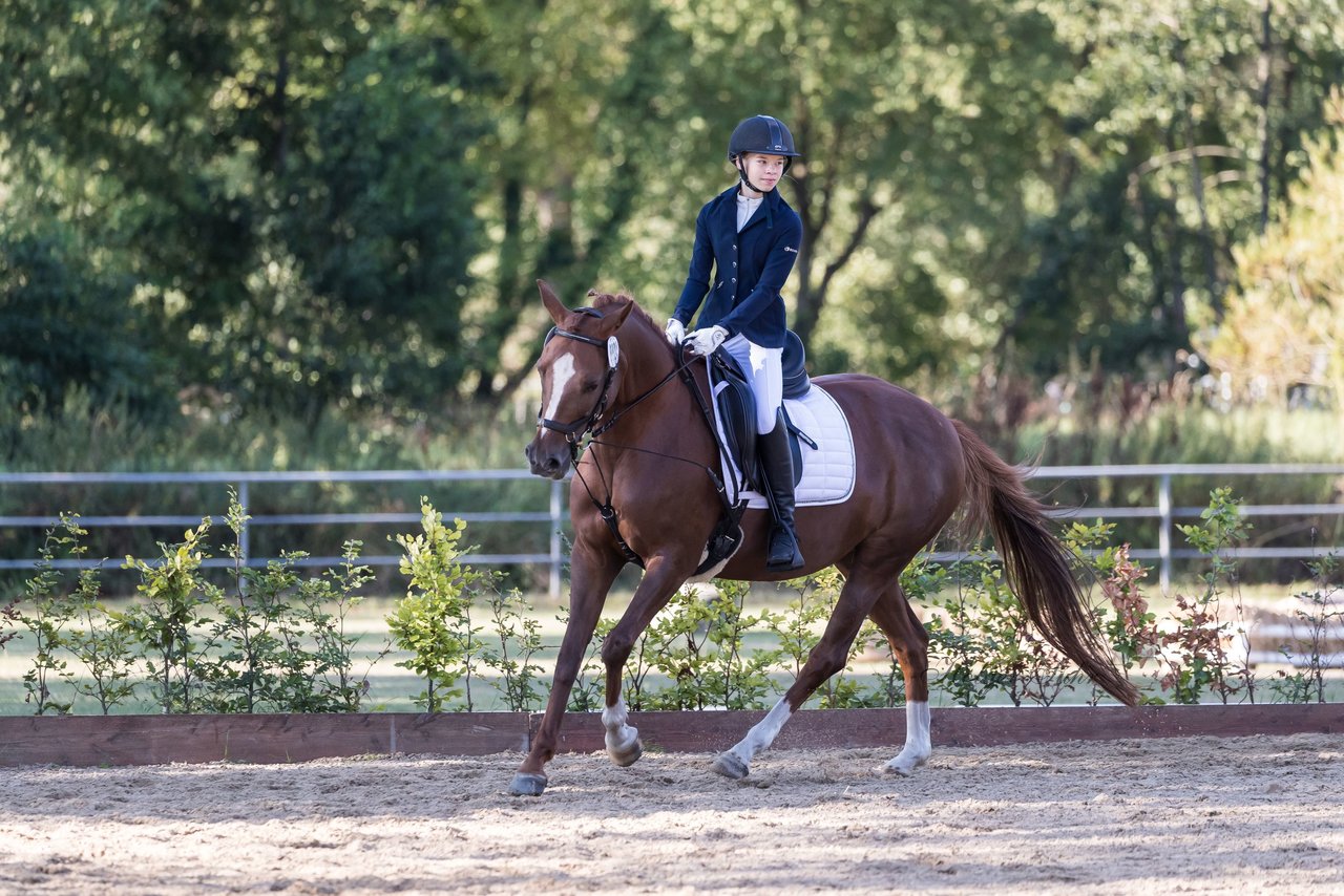 Bild 123 - Pony Akademie Turnier